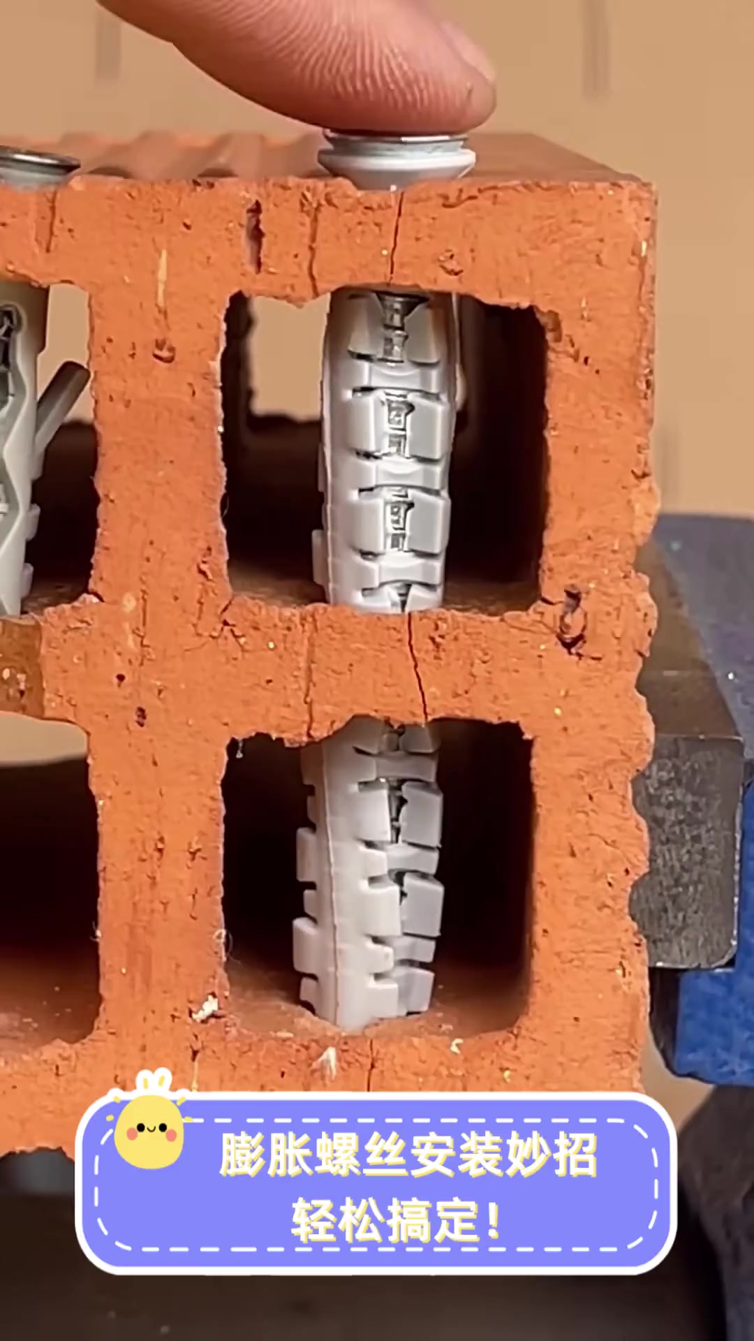 瓷砖打孔膨胀螺丝如何安装视频(瓷砖打孔装膨胀螺丝后还能修复么) 瓷砖打孔膨胀螺丝如何安装视频(瓷砖打孔装膨胀螺丝后还能修复么)